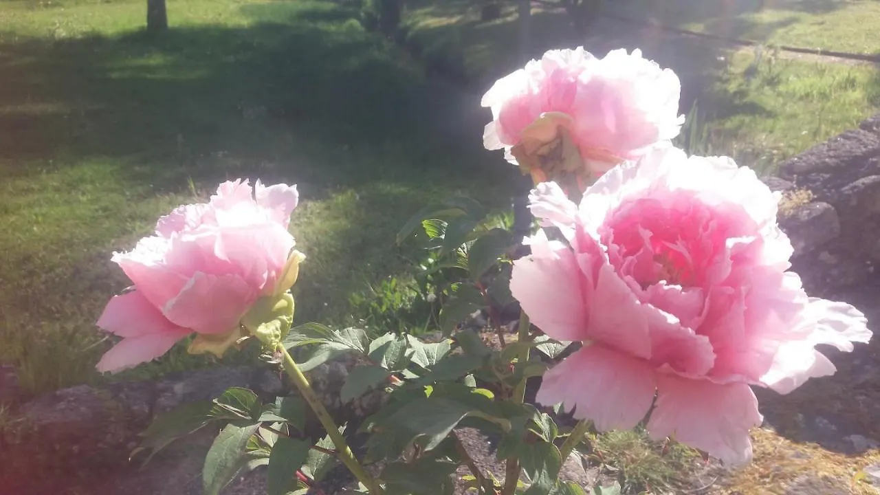Domaine De La Licorne Bed & Breakfast Bubry