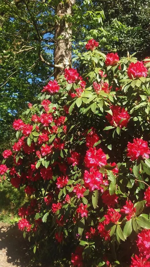 Domaine De La Licorne Bed & Breakfast Bubry